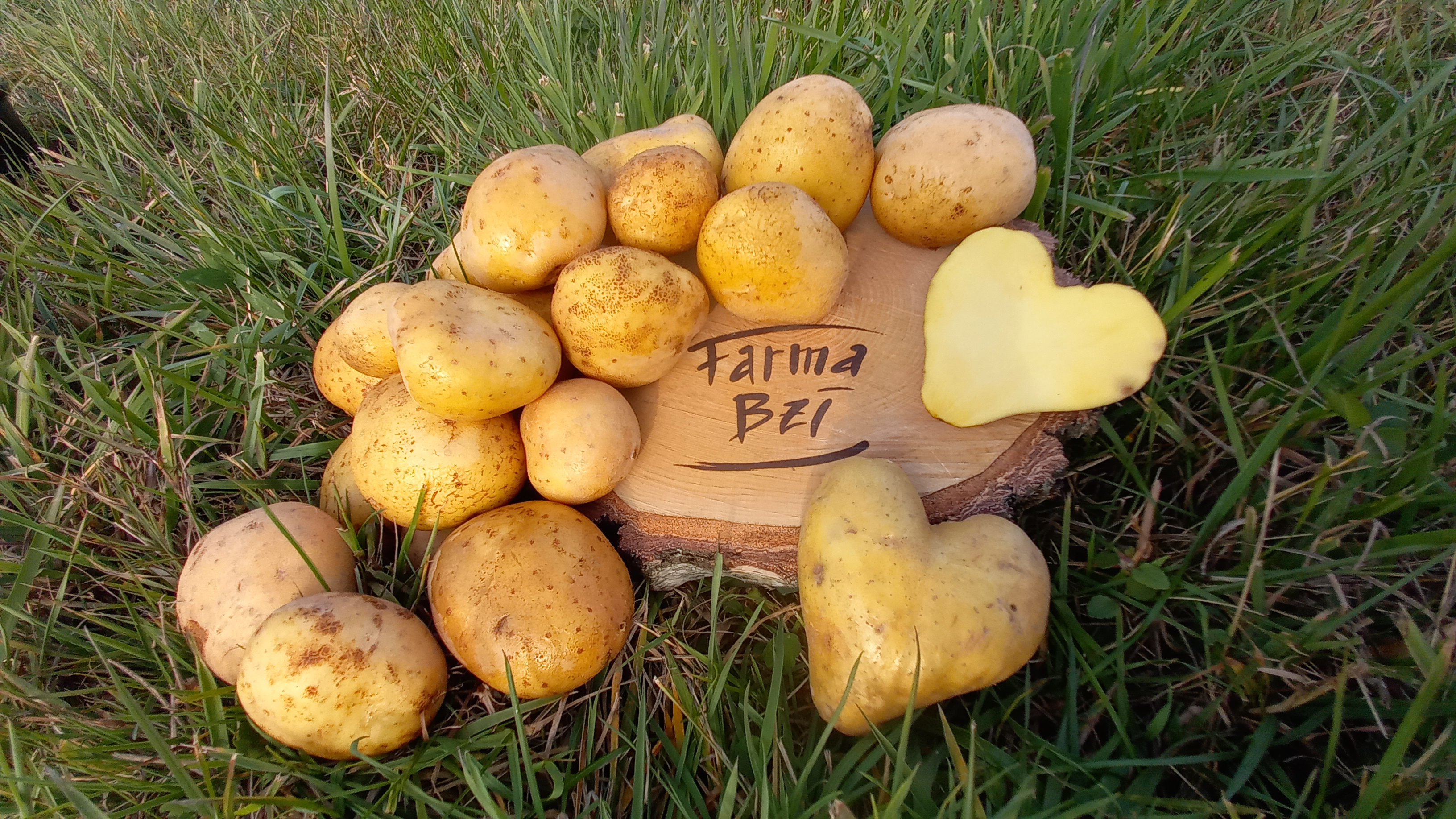 Ilustrační obrázek ke článku