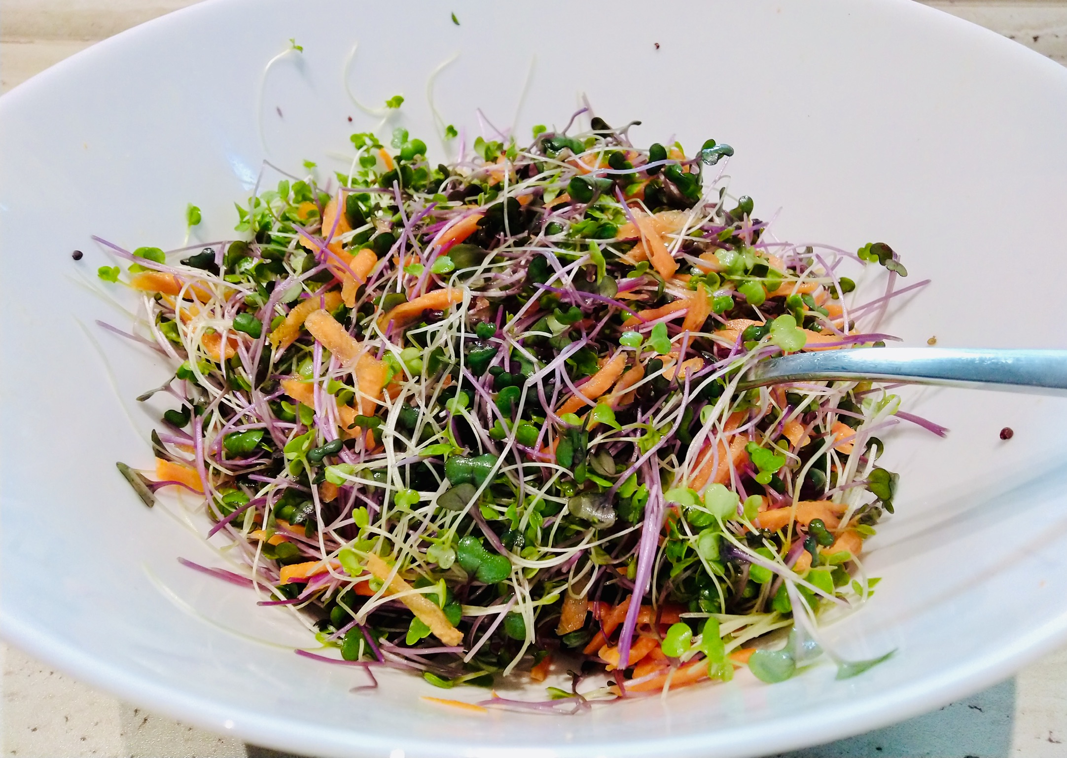 Ilustrační obrázek ke článku