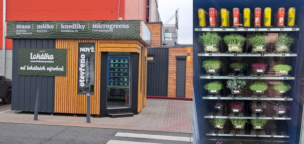 Ilustrační obrázek ke článku