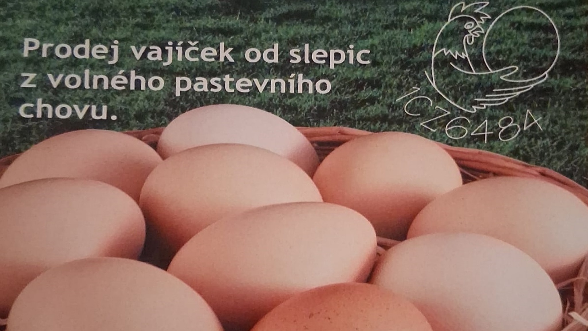 Ilustrační obrázek ke článku