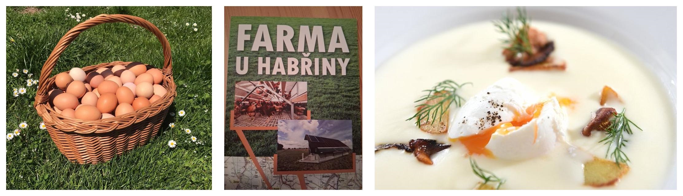 Lokálka domácí vejce