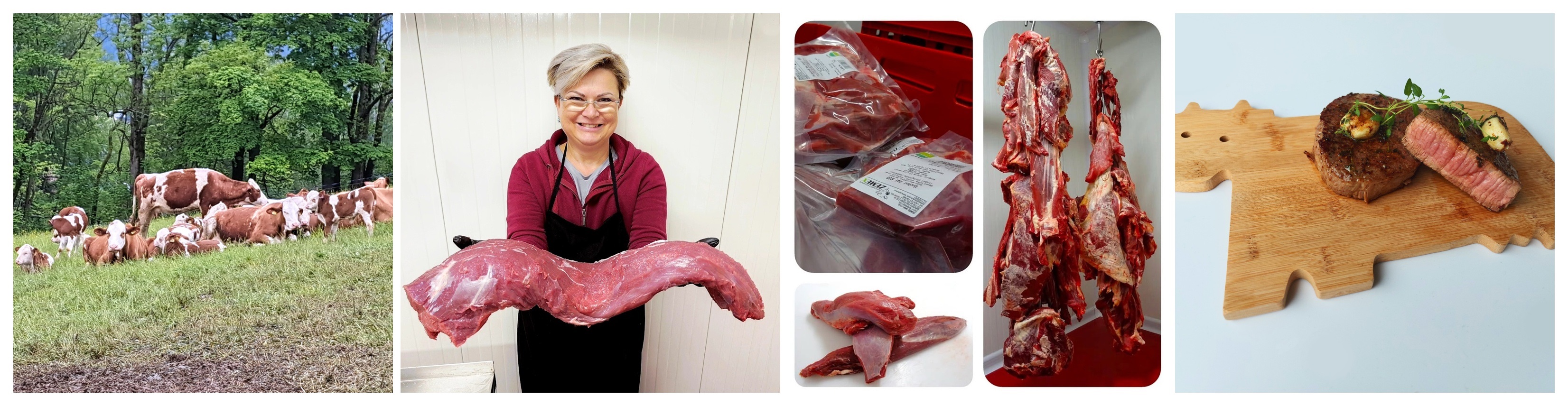 Maso farma Zemex v Lokálce