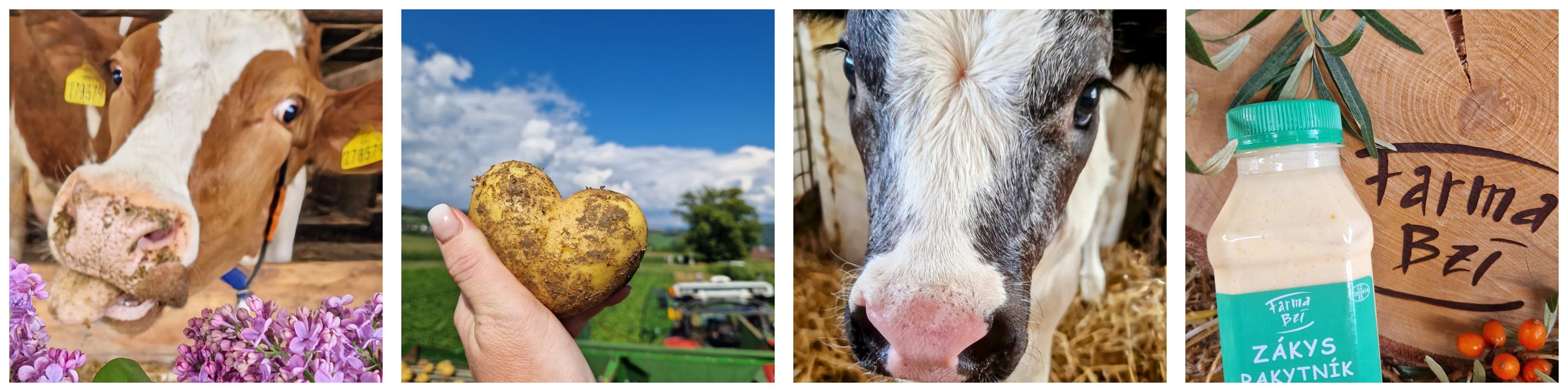 mleko-lokalka-farma-bzi-ctverce.jpg