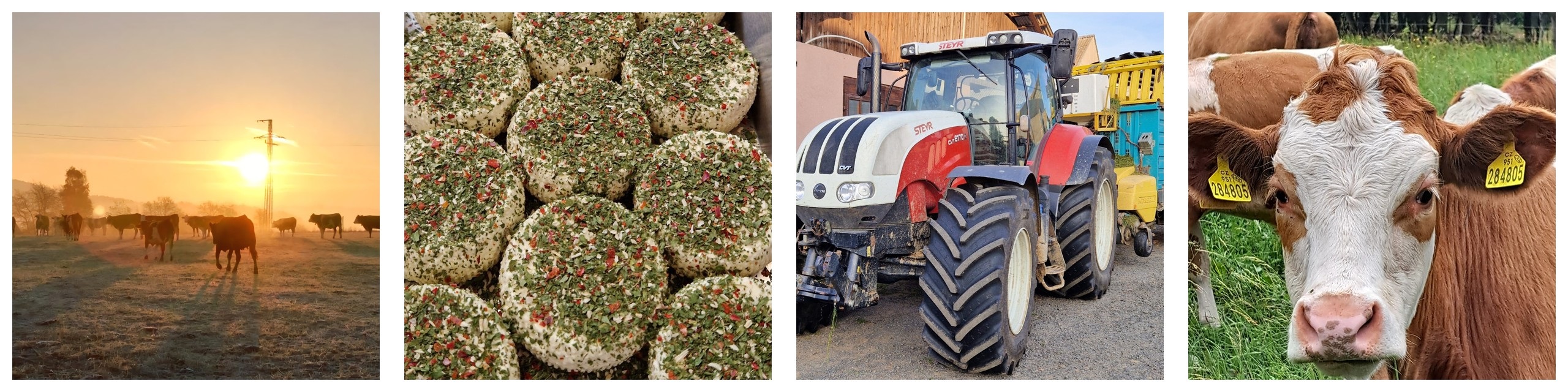 Farma Bzí mléčné produkty